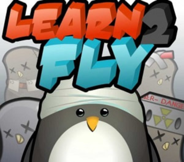 lesson Learn To Fly 2